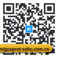 系统版 iOS 二维码