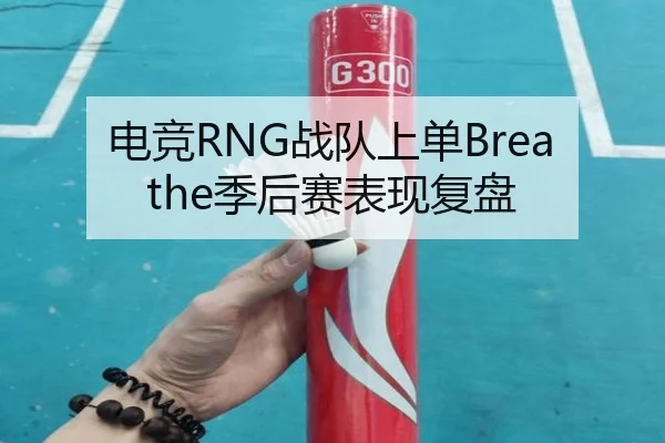 电竞RNG战队上单Breathe季后赛表现复盘 - migusprot